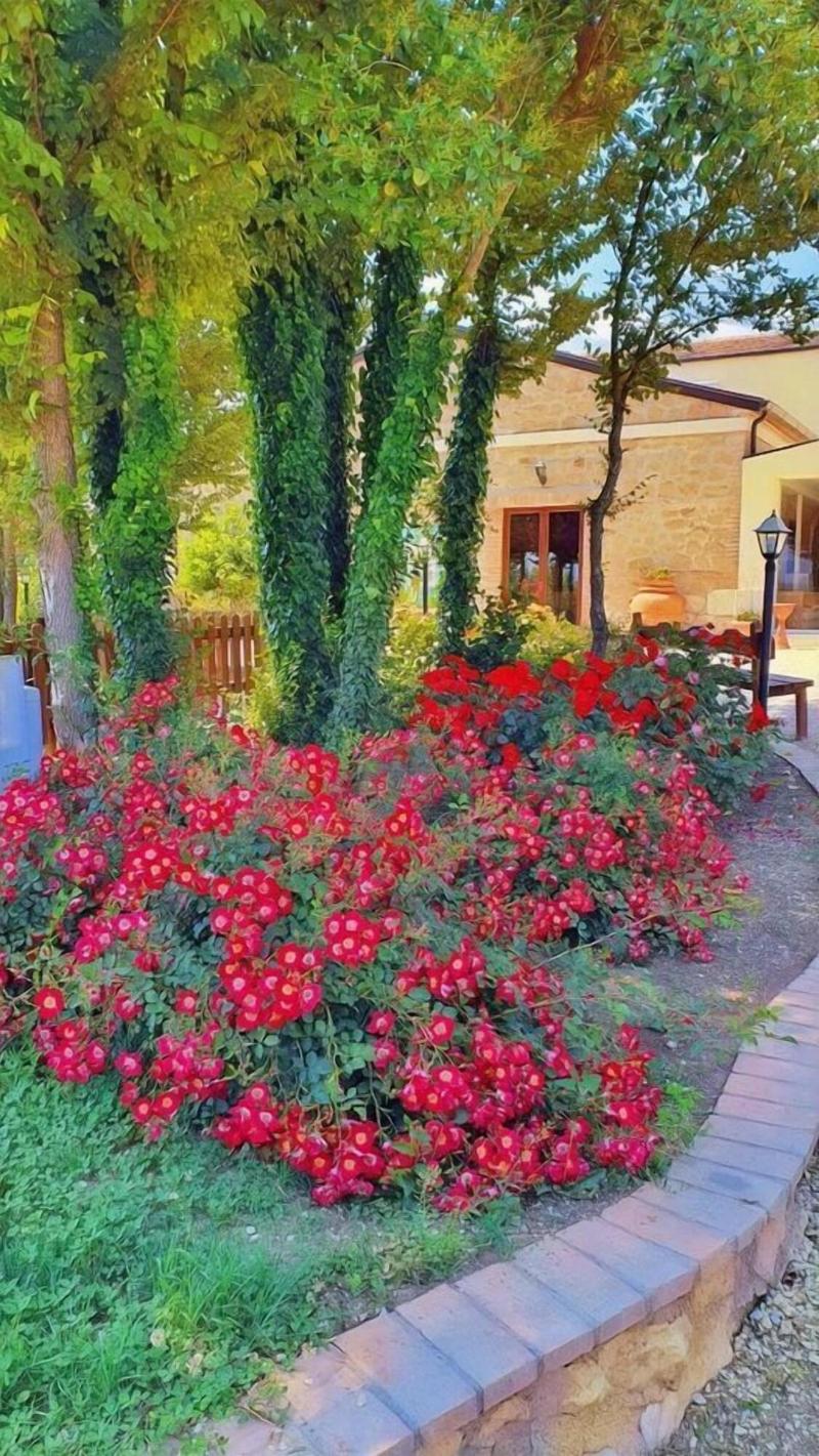 Agriturismo Il Pioppeto - Genel