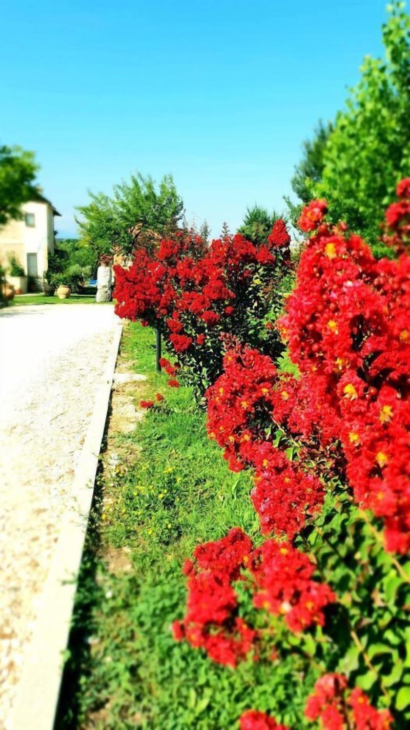 Agriturismo Il Pioppeto - Genel