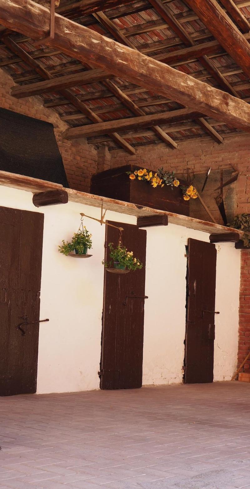 B&B Giardino 34 - Genel