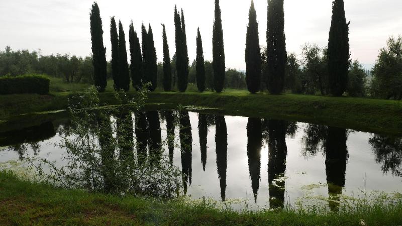 Cà Bianca - Genel