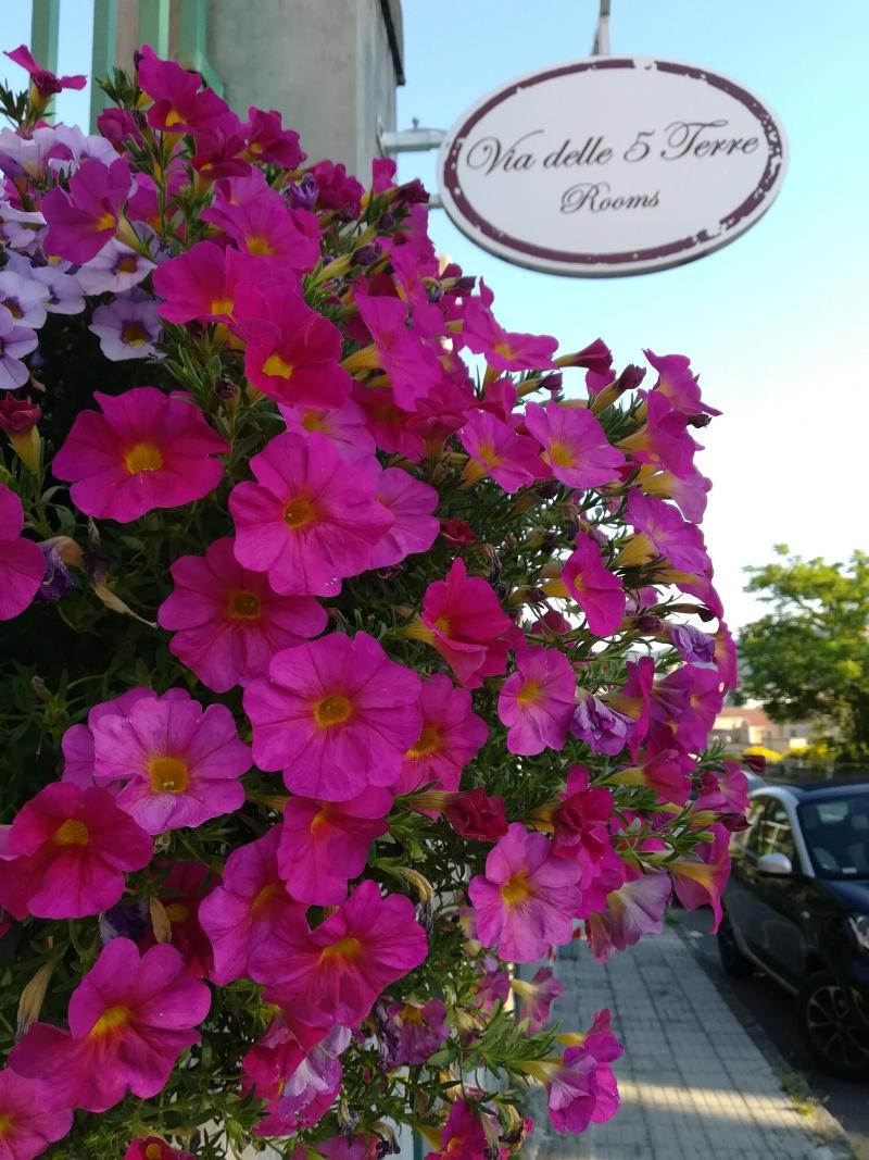 B&B Via delle 5 Terre - Genel