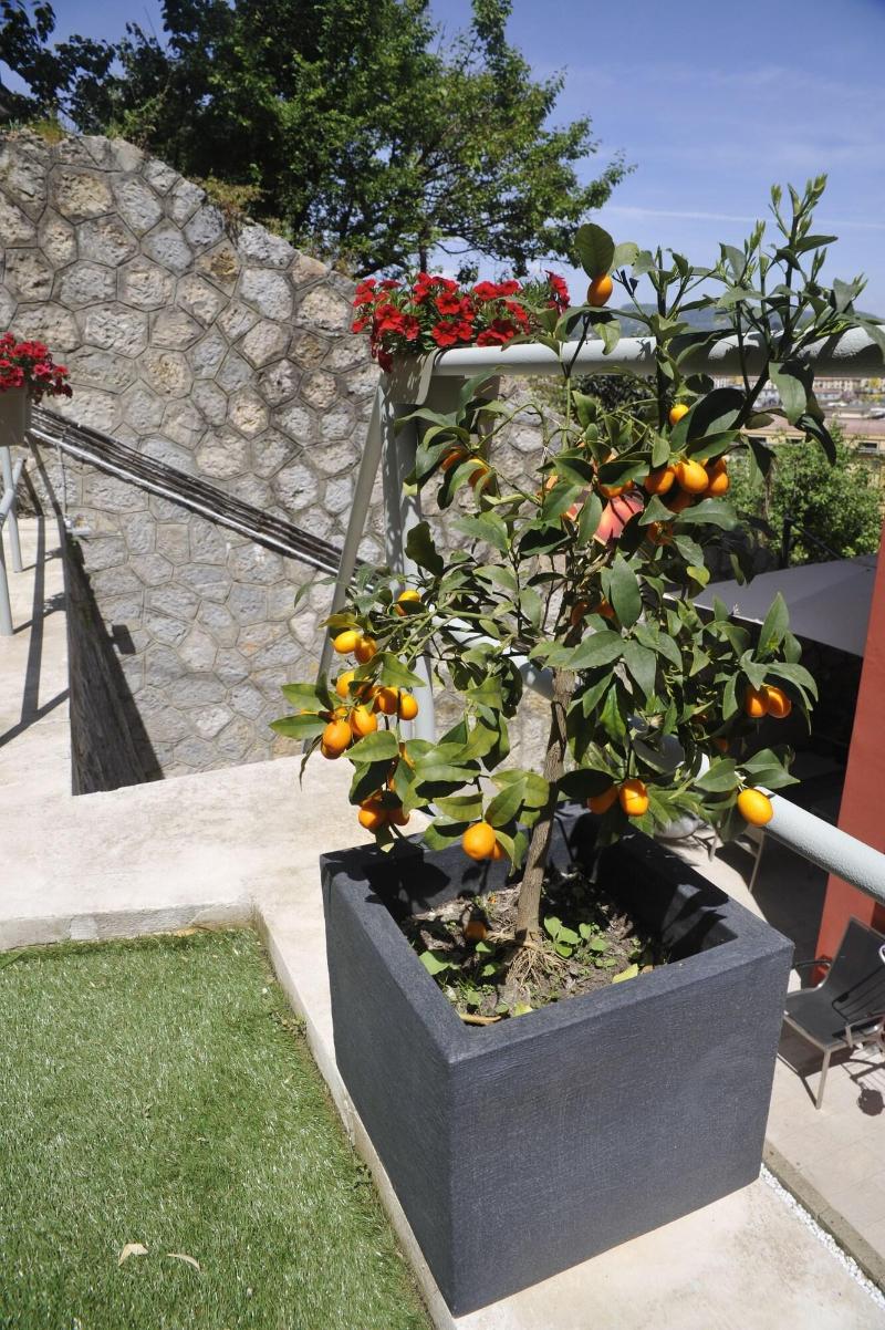 B&B Via delle 5 Terre - Genel