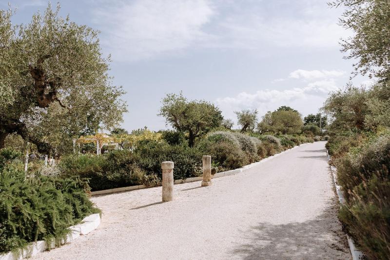 Tenuta Del Lauro - Genel