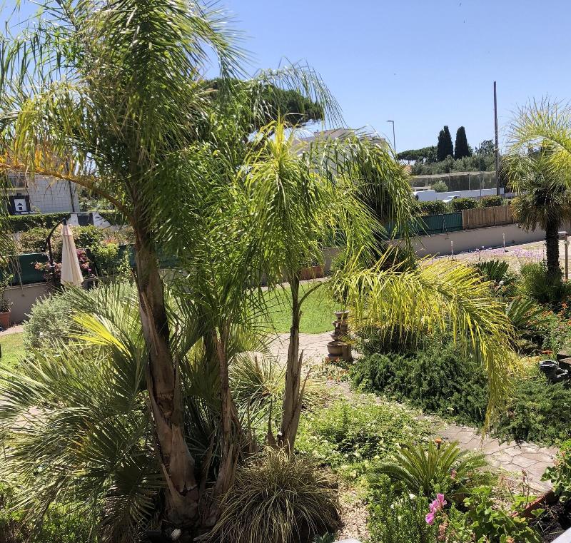 Il Giardino Di Adriana - Genel