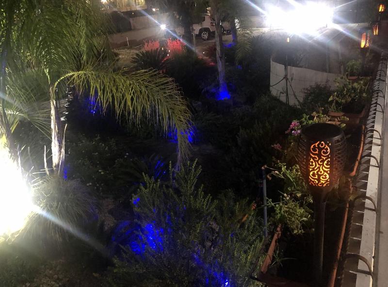 Il Giardino Di Adriana - Genel
