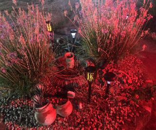Il Giardino Di Adriana fotoÄŸrafÄ±