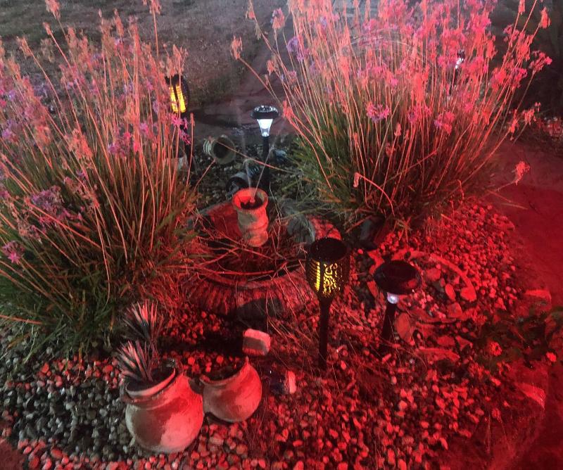 Il Giardino Di Adriana - Genel