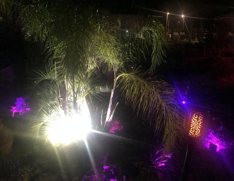 Il Giardino Di Adriana - Genel