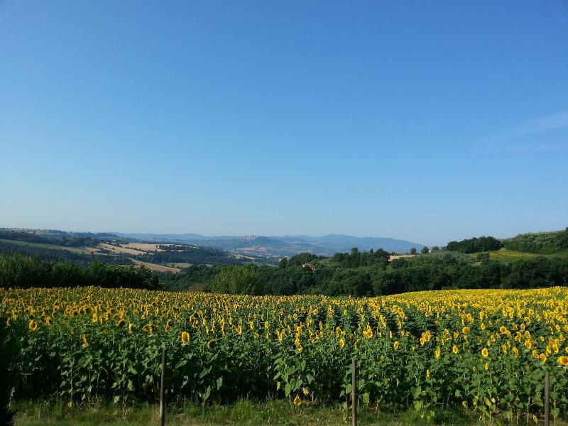 Agriturismo Il Borghetto - Genel