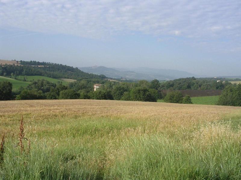 Agriturismo Il Borghetto - Genel