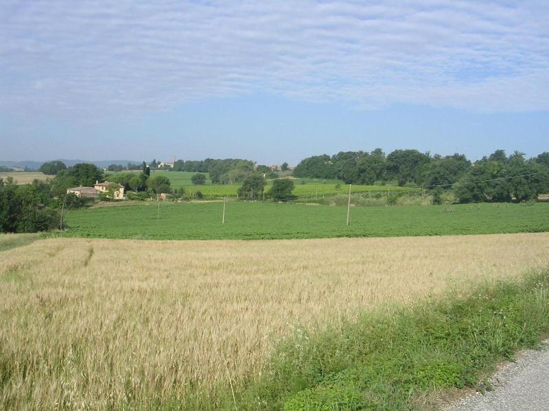 Agriturismo Il Borghetto - Genel