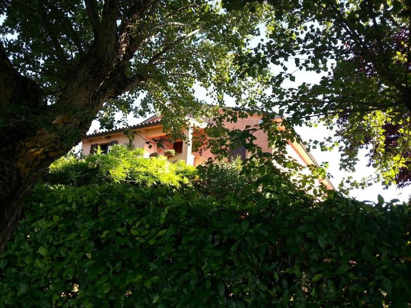 Agriturismo Il Borghetto - Genel