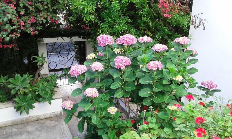 Il Giardino Di Villa Anna - Genel