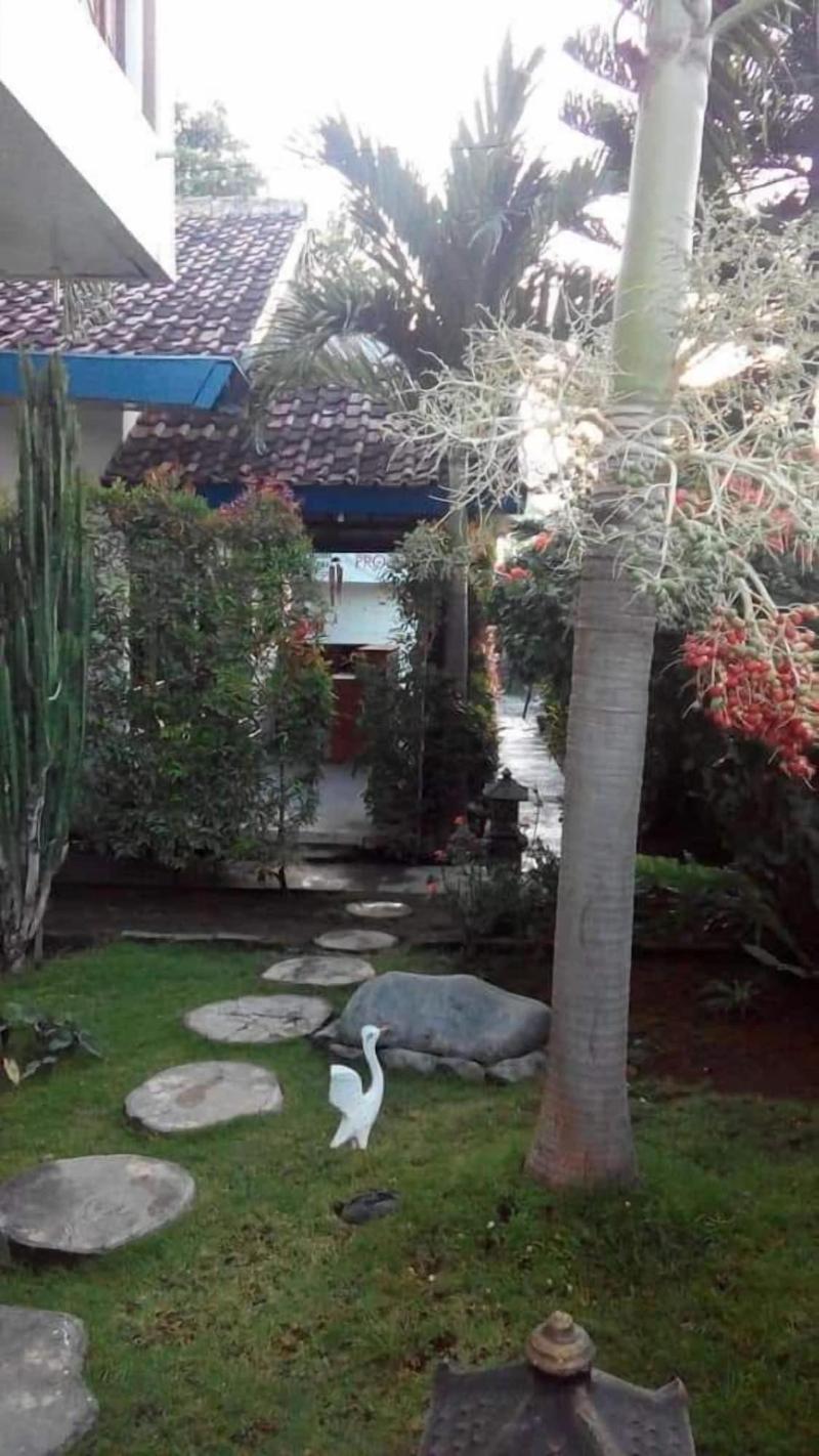 Puri Made 2 Homestay - Genel