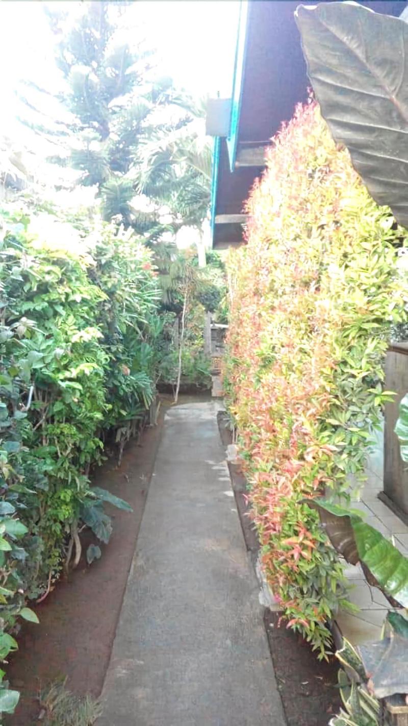 Puri Made 2 Homestay - Genel
