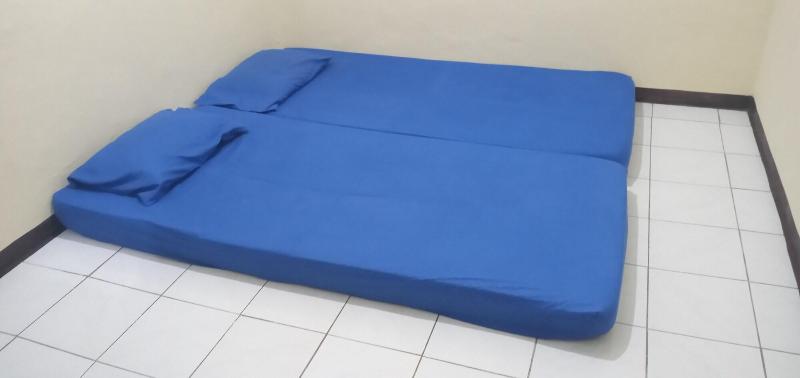Puri Made 2 Homestay - Oda