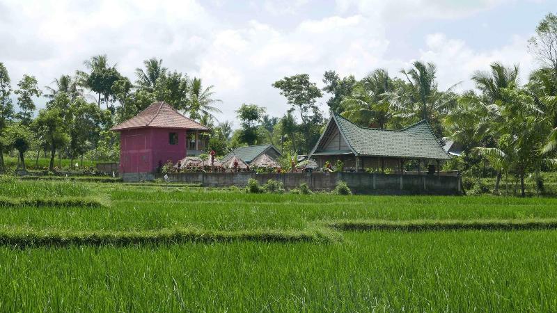 Cahaya Tetebatu Inn - Genel