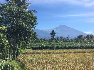 Cahaya Tetebatu Inn fotoÄŸrafÄ±