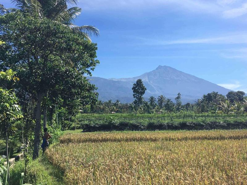 Cahaya Tetebatu Inn - Oda