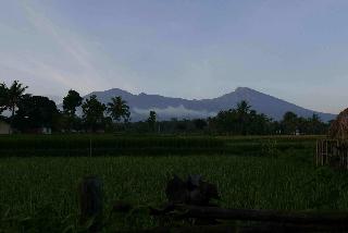 Cahaya Tetebatu Inn fotoÄŸrafÄ±