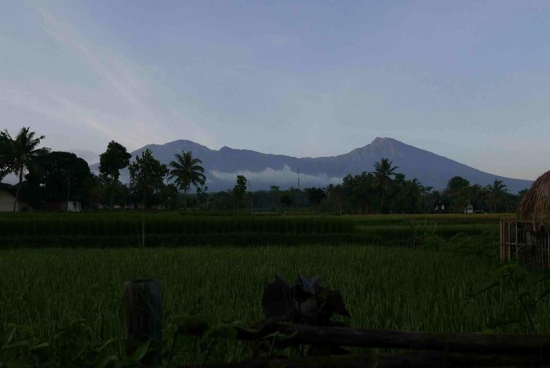 Cahaya Tetebatu Inn - Oda