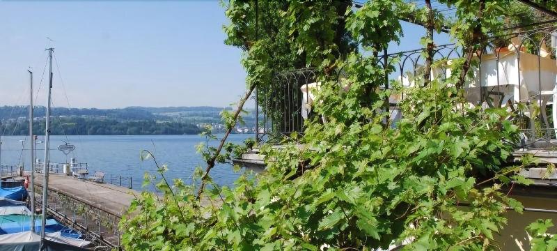 Hotel Hirschen Am See - Genel