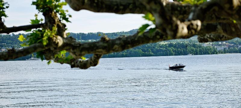 Hotel Hirschen Am See - Genel
