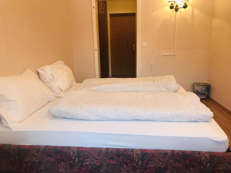 Parkhotel Bellevue Lenk - Oda