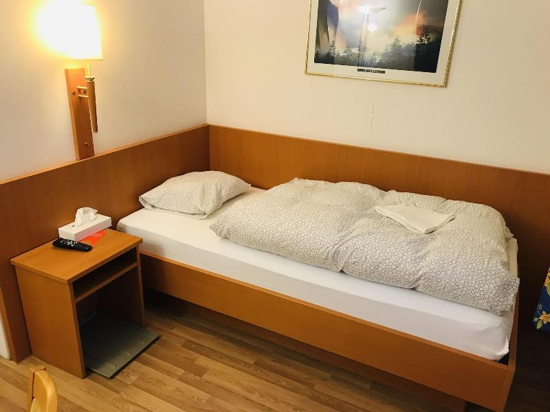 Parkhotel Bellevue Lenk - Oda