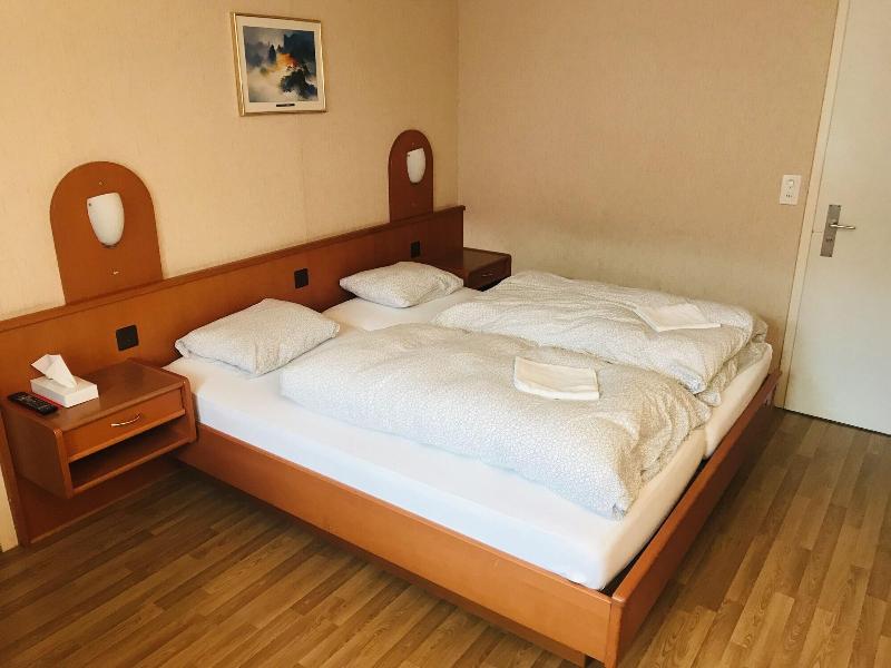 Parkhotel Bellevue Lenk - Oda