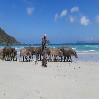 Harmony Villas Lombok fotoÄŸrafÄ±