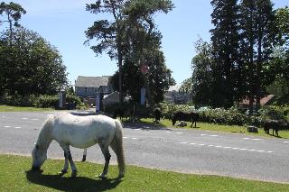 The Moorland Hotel fotoÄŸrafÄ±