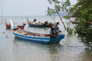 Grand Andaman Resort fotoÄŸrafÄ±