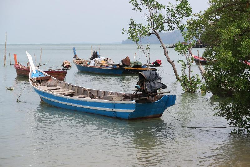Grand Andaman Resort - Aktivite