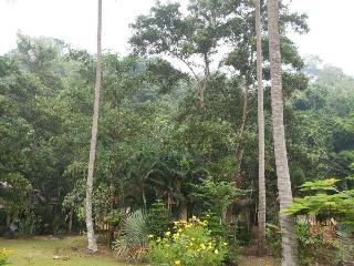 Grand Andaman Resort fotoÄŸrafÄ±