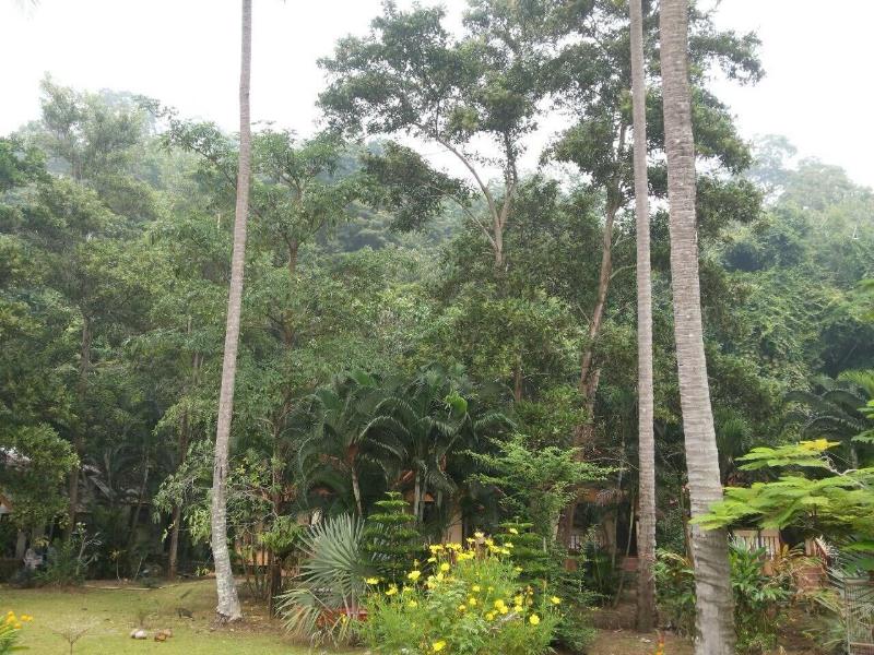 Grand Andaman Resort - Genel