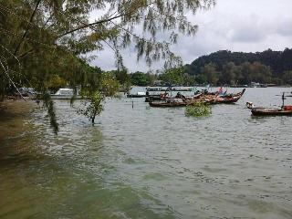 Grand Andaman Resort fotoÄŸrafÄ±