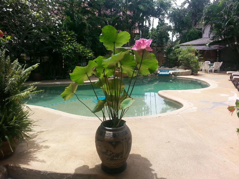 Shanti Lodge Phuket - Aktivite