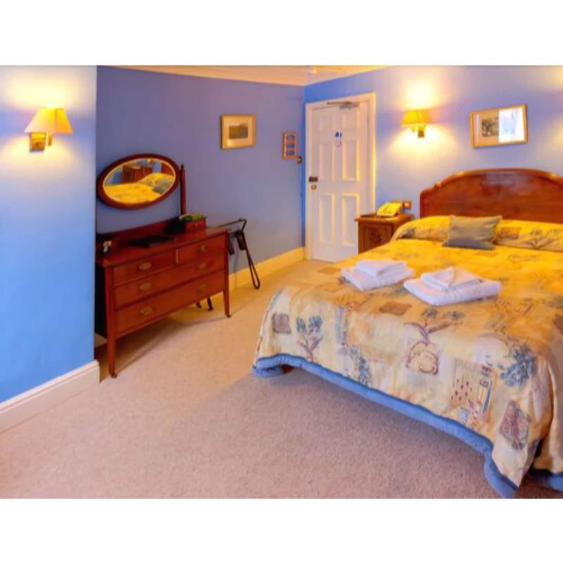 Wynnstay Hotel - Oda