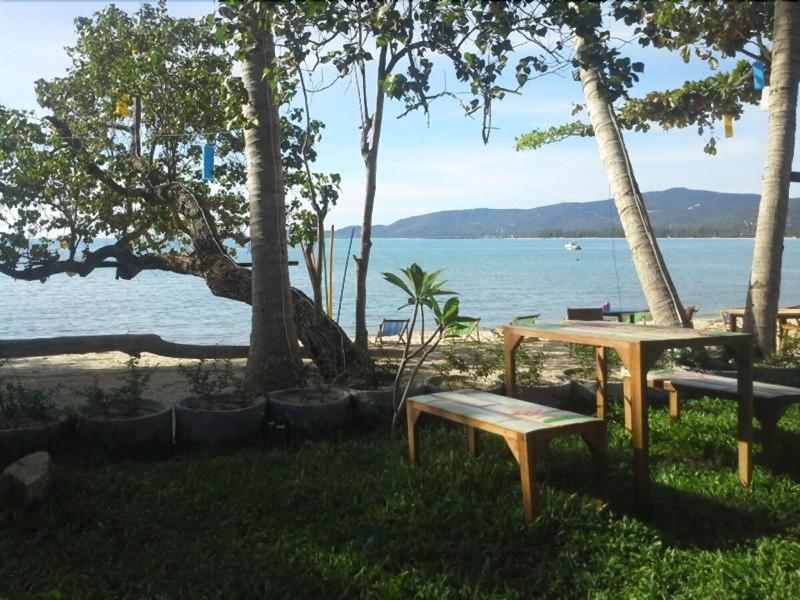 Think & Retro Cafe Lipa Noi Samui - Genel