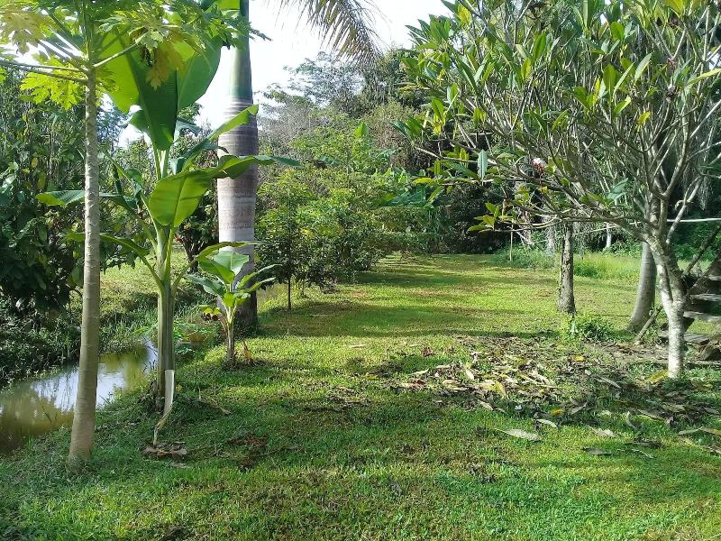 Baan Suan Jantra Home Stay - Genel