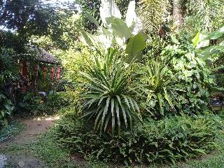 Baan Suan Jantra Home Stay fotoÄŸrafÄ±