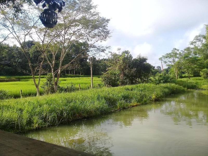 Baan Suan Jantra Home Stay - Genel