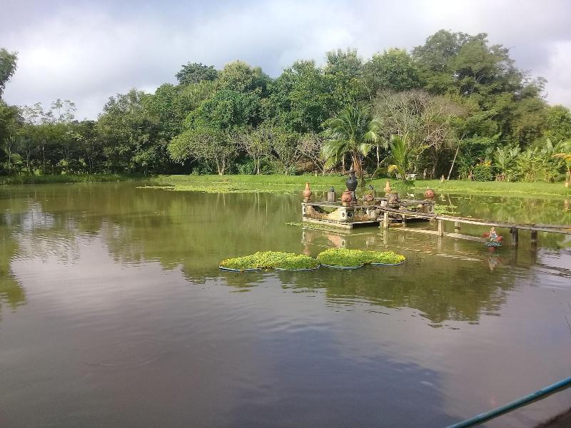 Baan Suan Jantra Home Stay - Genel
