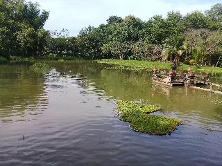 Baan Suan Jantra Home Stay fotoÄŸrafÄ±