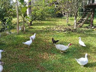 Baan Suan Jantra Home Stay fotoÄŸrafÄ±