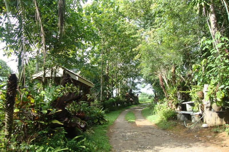 Baan Suan Jantra Home Stay - Genel