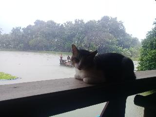 Baan Suan Jantra Home Stay fotoÄŸrafÄ±