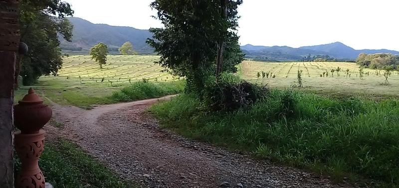 Baan Suan Jantra Home Stay - Genel
