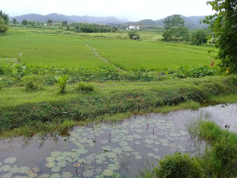 Baan Suan Jantra Home Stay - Oda